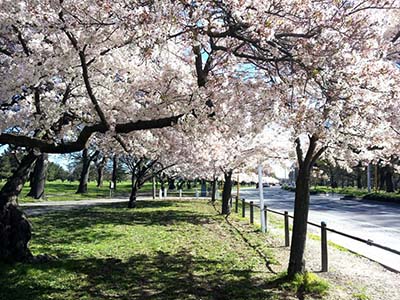 クライストチャーチ留学風景