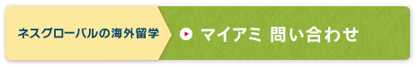 マイアミ留学費用を詳しく聞いてみる